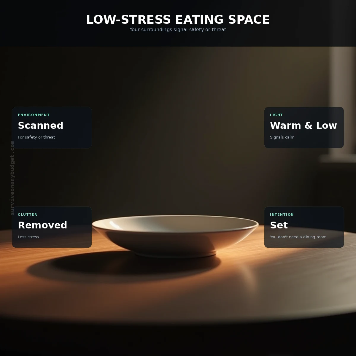 Environmental Cues: Designing a Low-Stress Eating Space on Any Budget
